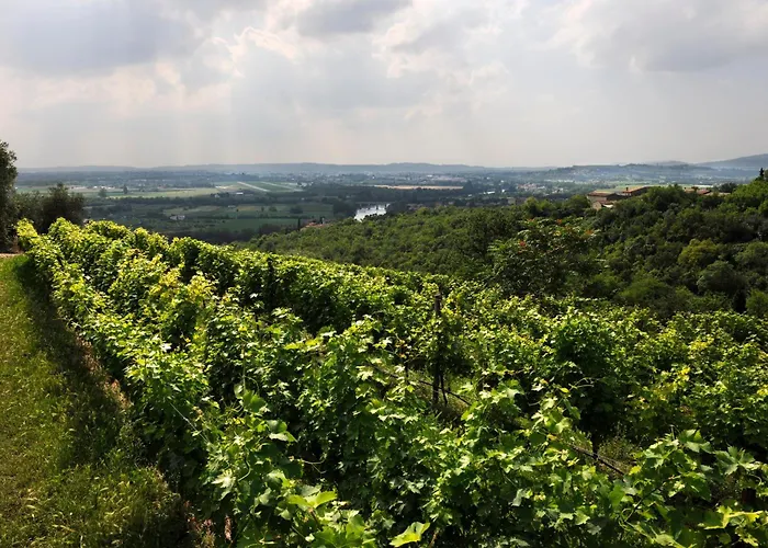 Hétvégi ház Delser Manor House *