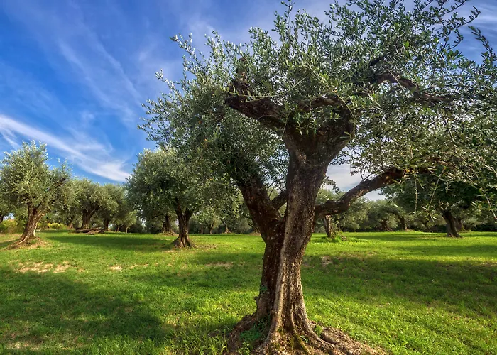 Delser Manor House Hétvégi ház