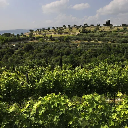 Delser Manor House Kır Evi Verona