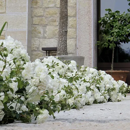 Kır Evi Delser Manor House